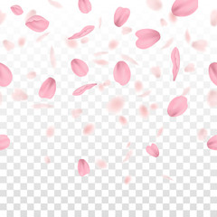 pattern of pink spring blossom petals over checkered background