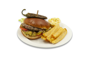 Mexican burger plate