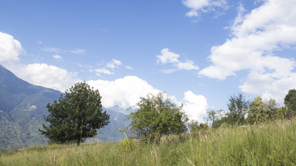 Obraz premium Landscape, beautiful sky with clouds with trees and meadows