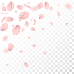 card with beautiful pink plum petals on checkered background, vector, illustration 