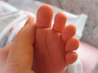 Infant Leg Small