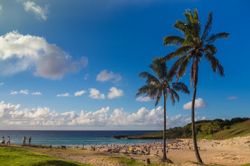 Fototapeta na wymiar Palms at Anakena beach in Easter Island in Chile. The only tourist beach in the island