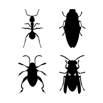 Insect and ant silhouttes clipart