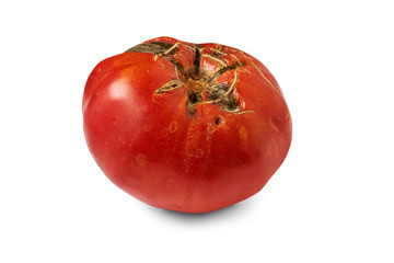Spoiled red tomato isolated on white background.