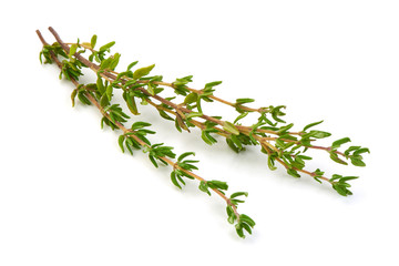 Fresh thyme spice isolated on white background.