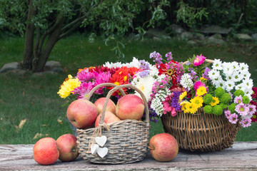 Herbst Blumen im Weidenkorb Chrysanthemen und Äpfel auf Holzbrett im Garten