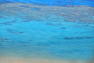 beach with coral reef and turquoise sea