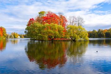 Autumn foliage in Catherine park, Tsarskoe Selo (Pushkin), St. Petersburg, Russia