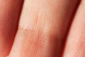the fingers of the female hand on the inside. macro photography.