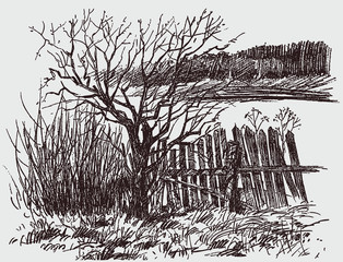 Pencil sketch of a rural landscape in spring