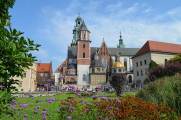 Wawel - widok z dziedzińca poprzez kwiaty latem, Kraków, Polska