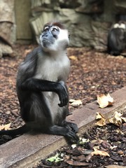 Looking into the sun