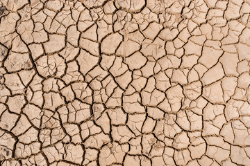 Abstract natural brown background. Dry and cracked earth
