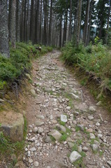 Tatry - łatwy szlak na Kopieniec Wielki