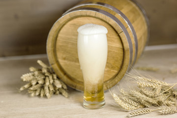 Oktoberfest. Beer is poured into mug of foam leaking against the background of a barrel of wheat