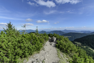 The footpath in top of  Little Rozsutec hill in sunny day