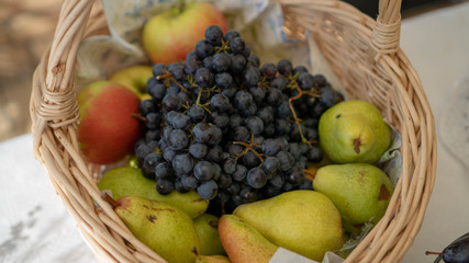 Basket of fresh organic fruits in the garden