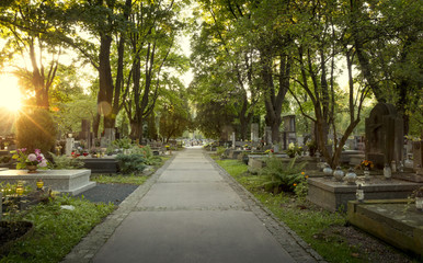 Pathway on old cemetery - obrazy, fototapety, plakaty