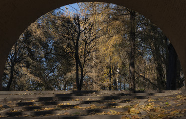 Nature in the arch