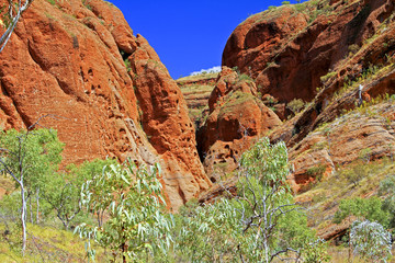 Fototapeta premium Bungle Bungles (Purnululu) - Purnululu National Park