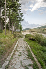 Fototapeta na wymiar Stone path on a mountain