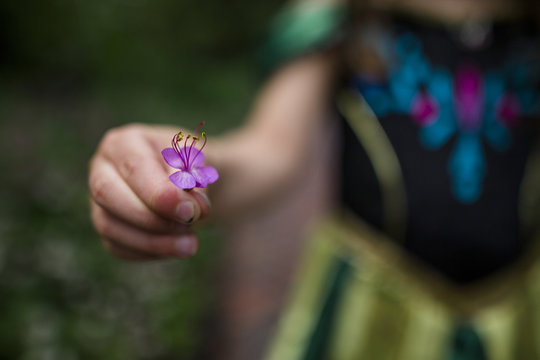 Midsection of girl in costume holding purple flower while standing at yard