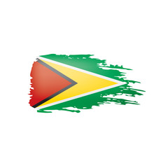 Guyana flag, vector illustration on a white background.