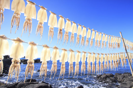 Squids drying on strings at beach against blue sky