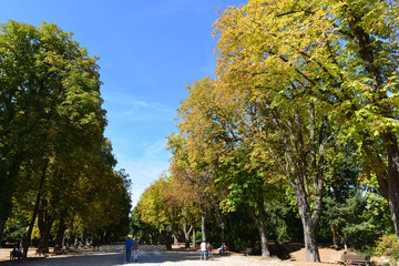 Kurpark von Bad Homburg v. d. Höhe 