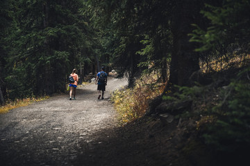Obraz premium A couple walking on a mountain path in Colorado during fall. 