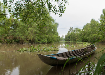 Water in Mekong Delta (Vietnam)