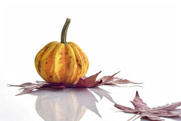 Decorative Colorful Mini Pumpkin