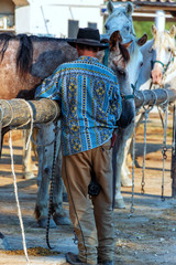 Cowboy in der Camargue