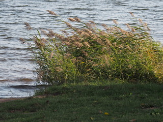 Bostalsee - Stausee im nördlichen Saarland
