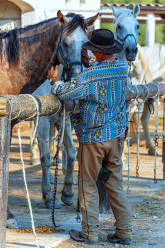 Cowboy in der Camargue