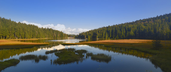 GROSSER ARBERSEE mit den schwimmenden Inseln - Bayerischer Wald-Niederbayern