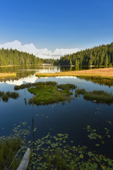GROSSER ARBERSEE mit den schwimmenden Inseln - Bayerischer Wald-Niederbayern