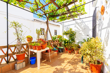Plants on terrace of typical white house in picturesque village of Mijas, Andalusia. Spain