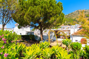 Green park with tropical plants in Mijas white village, Andalusia © pkazmierczak