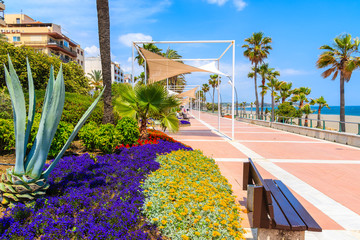 Flowers on beach promenade in Estepona town on Costa del Sol, Spain - obrazy, fototapety, plakaty