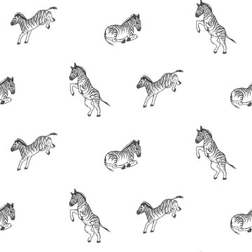 vector illustration zebra repeat pattern print