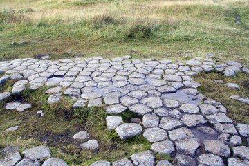 Suelo de columnas de basalto en Islandia.