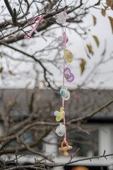 The children's nipples on the tree