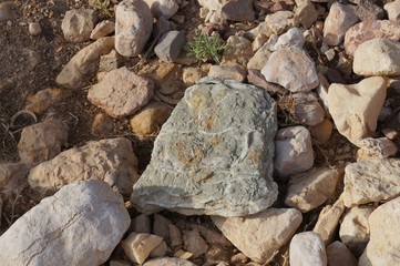 Beautiful stones in the Red canyon near Eilat, South Israel