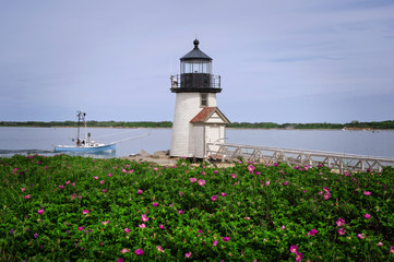 Beach Roses by Natucket Island Lighthouse Guiding Fishing Boat