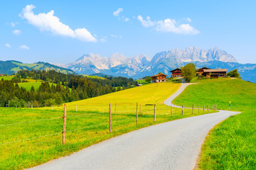 Road along green meadow in Gieringer Weiher mountain area leading to typical alpine houses on hill,...