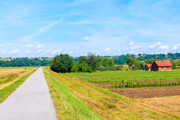 Cycling track along green fields and Vistula river near Cracow city on sunny summer day, Poland