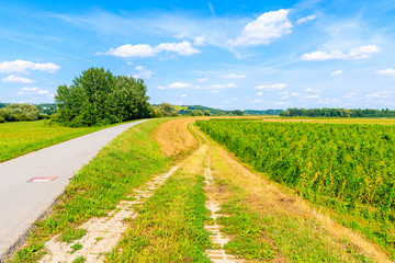 Fototapeta na wymiar Cycling lane along green fields and Vistula river near Cracow city on sunny summer day, Poland