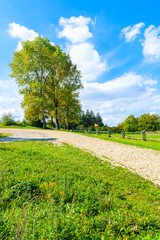 Walking path to Rabsztyn castle located in small village in southern Poland