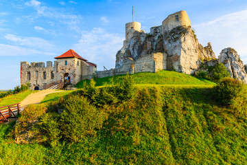 Fototapety na wymiar - Fototapeta24.pl